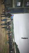 _lironatias Altpins Profile Picture