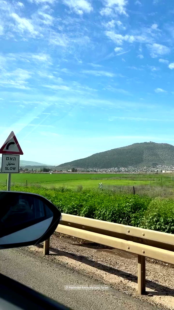 agam__mallka archive video preview