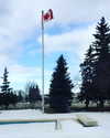 alexandradaddario Altpins Profile Picture