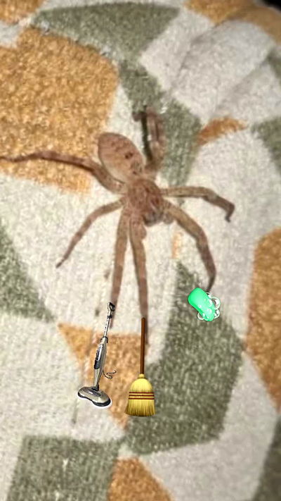 lila.garnik lila.garnik archive video