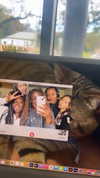 ilikesleepin_g Altpins Profile Picture