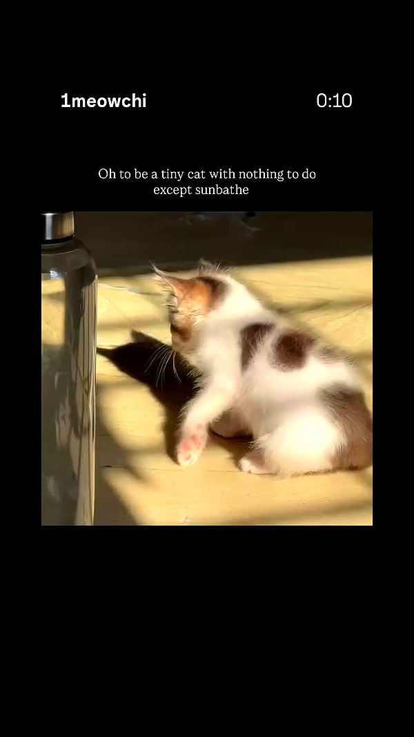 chranababy archive video preview
