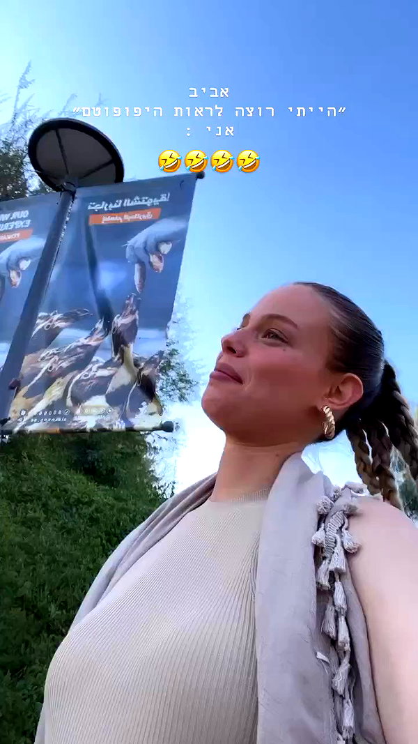 barzomer archive video preview