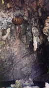 elizabethcampbelljones Altpins Profile Picture