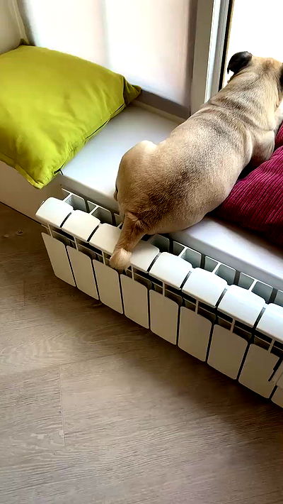 nyityam nyityam archive video