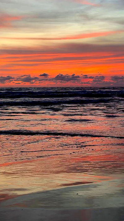 taylor.creeden taylor.creeden archive video