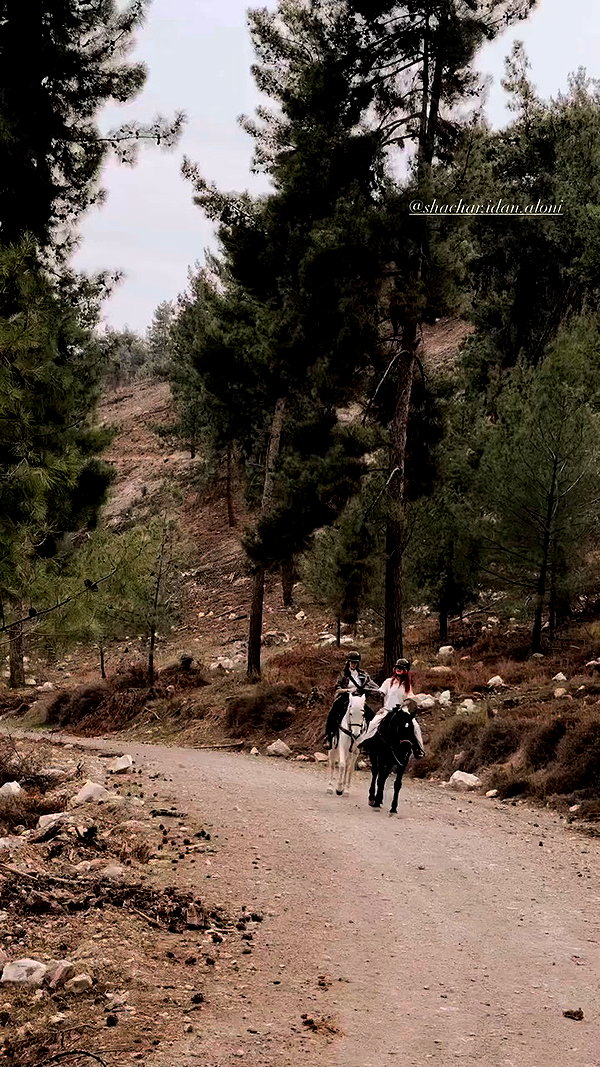 shaharo__._ archive video preview