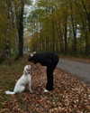 danamrts Altpins Profile Picture