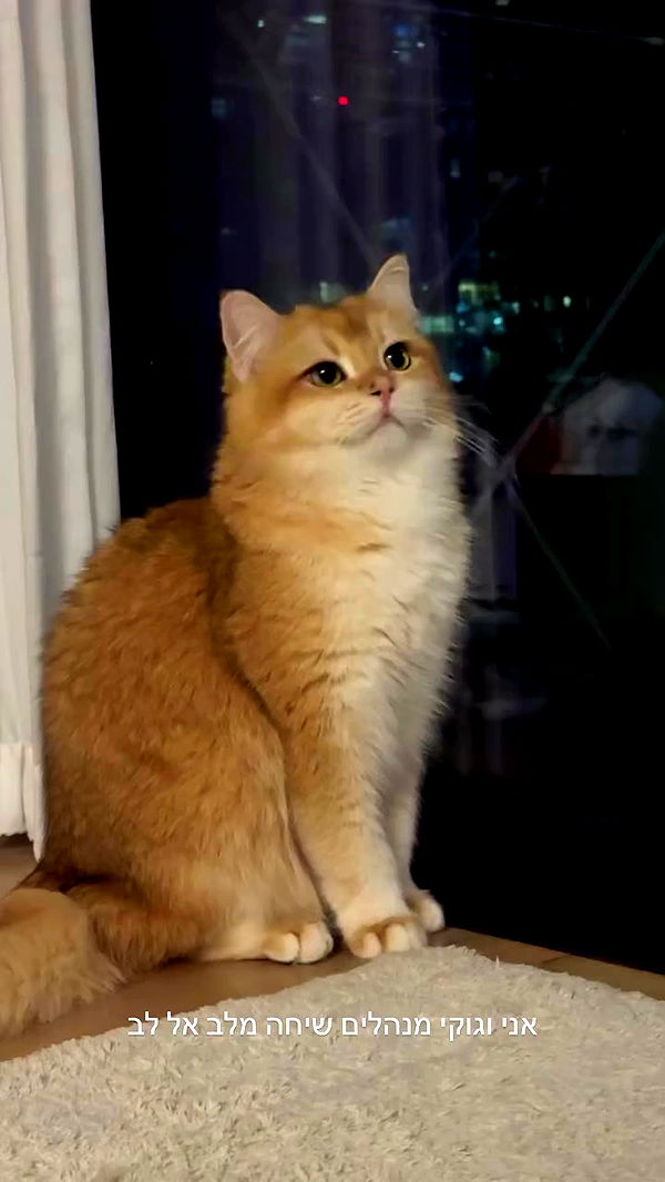 itsilanosh archive video preview