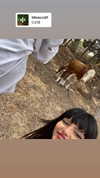 electrixjuggle Altpins Profile Picture