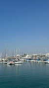 katia_z.k Altpins Profile Picture