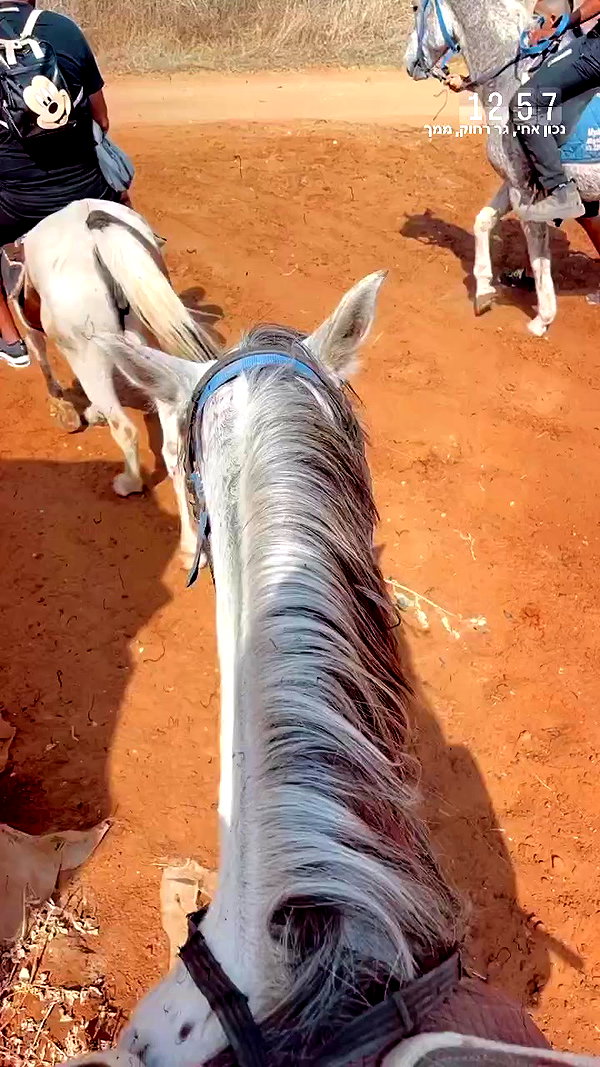 _stella_shani_ archive video preview