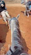 _stella_shani_ Altpins Profile Picture