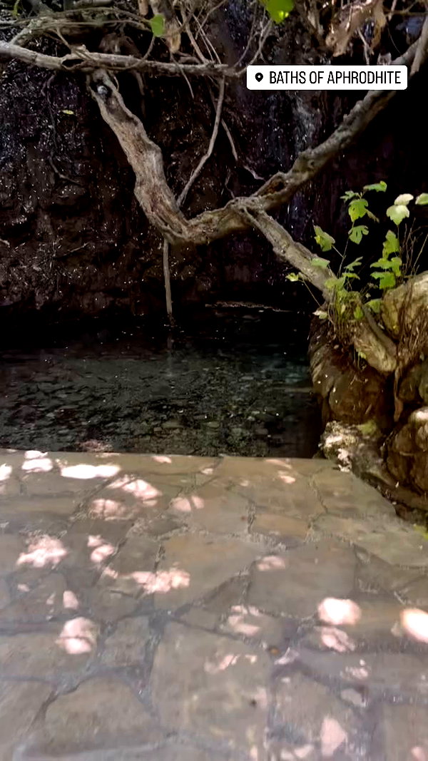 _allvi.pansk archive video preview