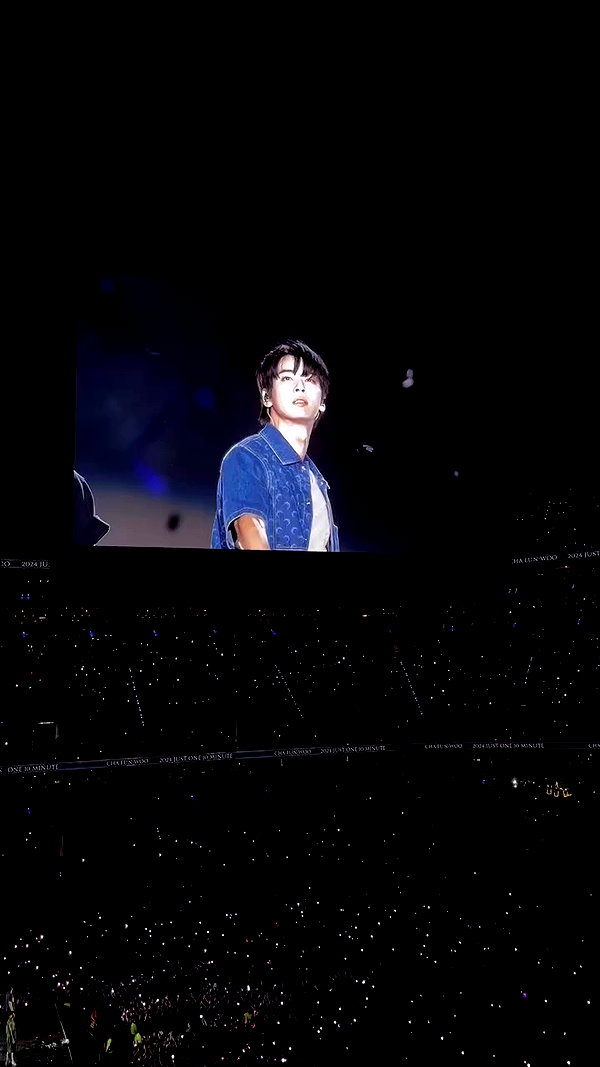 luly1980s archive video preview