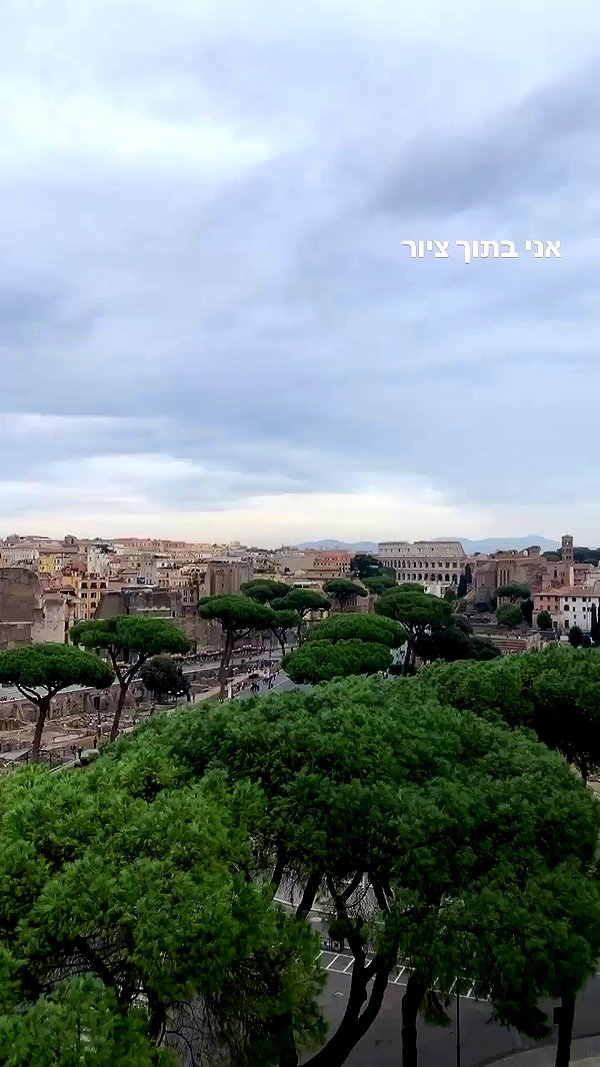 daniel_shallom archive video preview