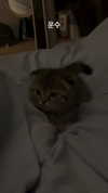 wannabeyourbabygirl Altpins Profile Picture