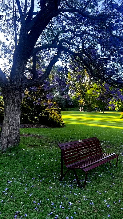 taylor.creeden taylor.creeden archive video