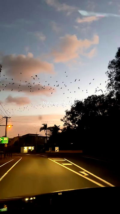 taylor.creeden taylor.creeden archive video