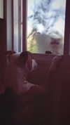 _mashachka_ Altpins Profile Picture