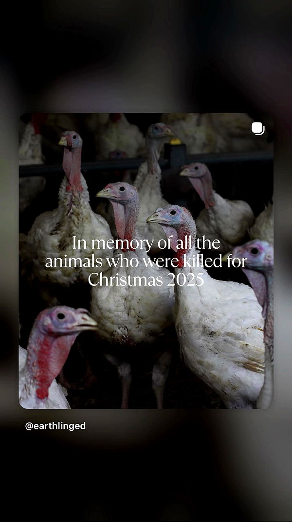 mayamorgannnnnn archive video preview