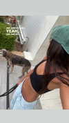 _lironatias Altpins Profile Picture