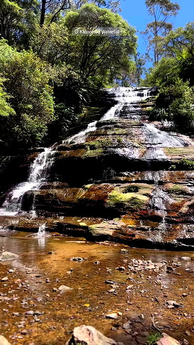 taylor.creeden taylor.creeden archive video