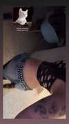 hellokittyangel666 Altpins Profile Picture