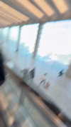 arielgino_ Altpins Profile Picture