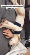 gabbyepstein Altpins Profile Picture