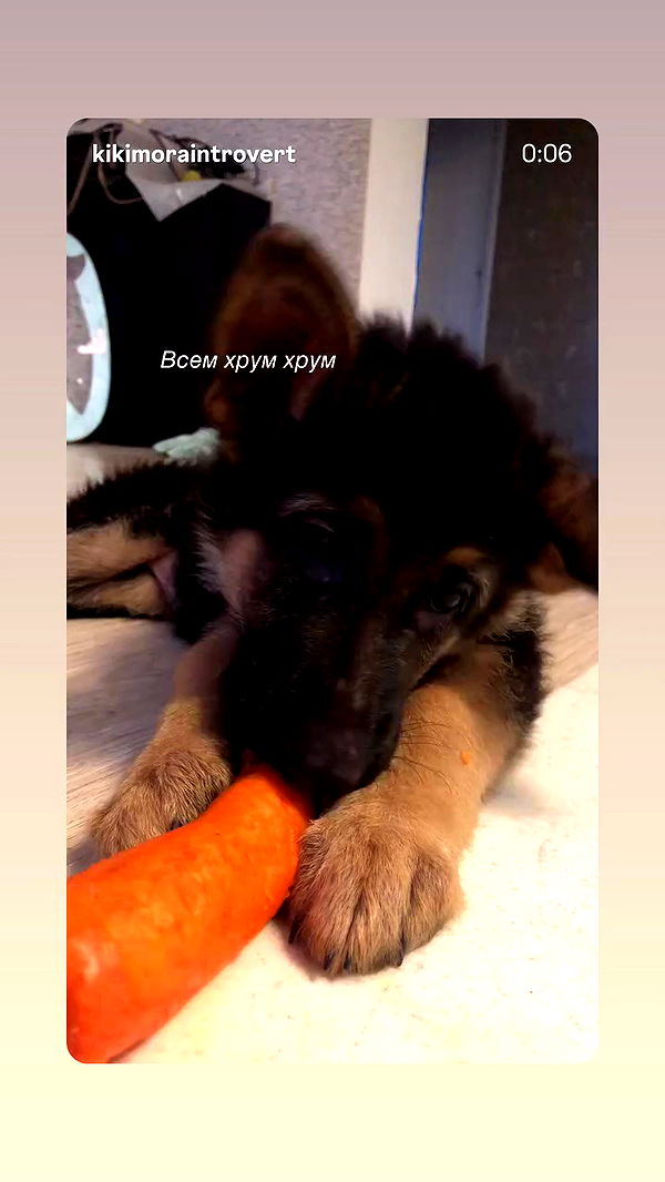 emily_new2 archive video preview