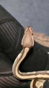 xombunni Altpins Profile Picture