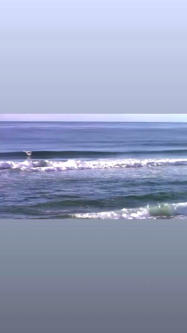 alexis.leth archive video preview