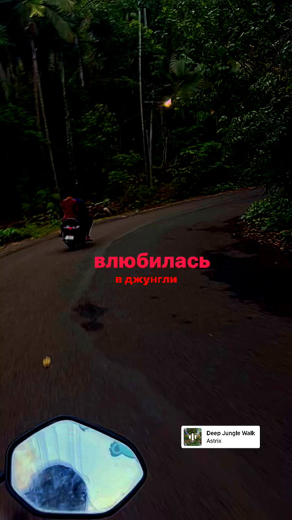 orman.mariee archive video preview