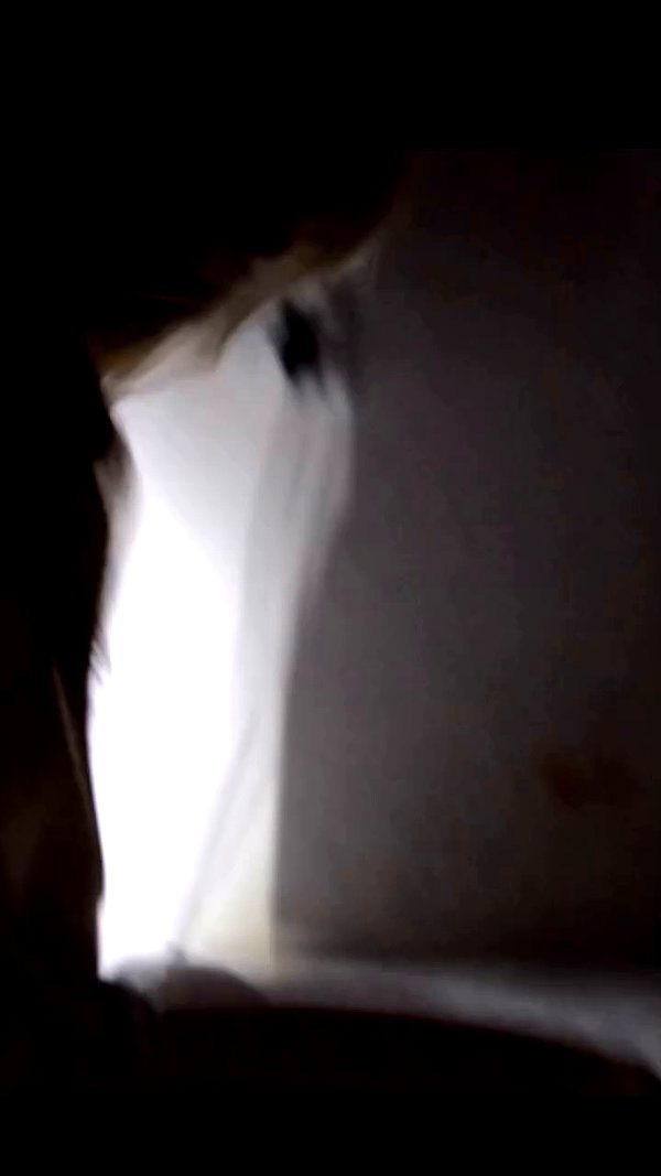 bobinskkii archive video preview