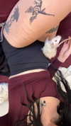jade699x3 Altpins Profile Picture