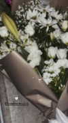 mor_amgar Altpins Profile Picture