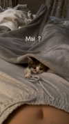 bulochka__777 Altpins Profile Picture
