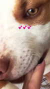 _mashachka_ Altpins Profile Picture