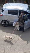 babynympho_archive Altpins Profile Picture