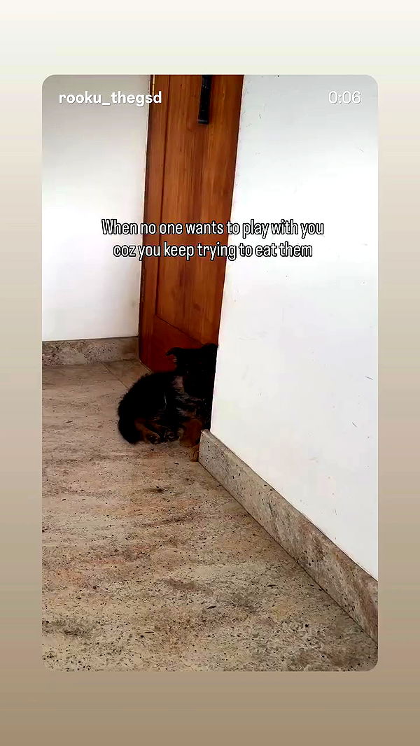 emily_new2 archive video preview