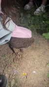 kittydano4ka Altpins Profile Picture