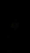 mileycyrus Altpins Profile Picture
