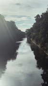 lotembar Altpins Profile Picture
