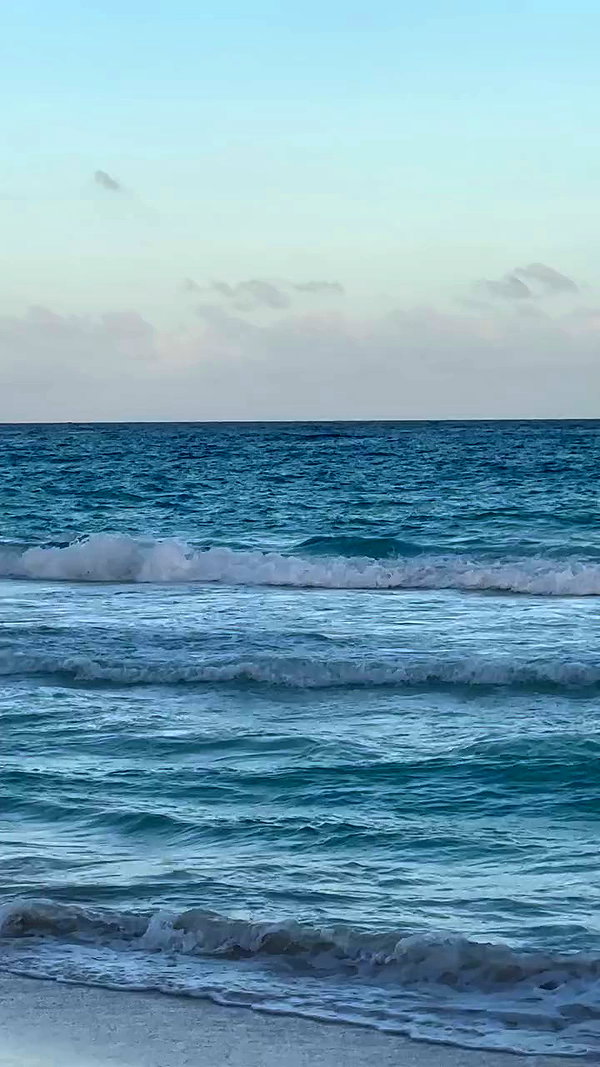 taylor.creeden archive video preview