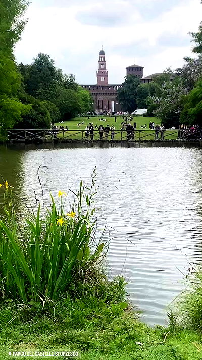 taylor.creeden taylor.creeden archive video