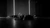 suspiria.em Altpins Profile Picture