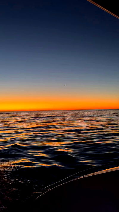 taylor.creeden taylor.creeden archive video