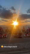 nicole_ac Altpins Profile Picture