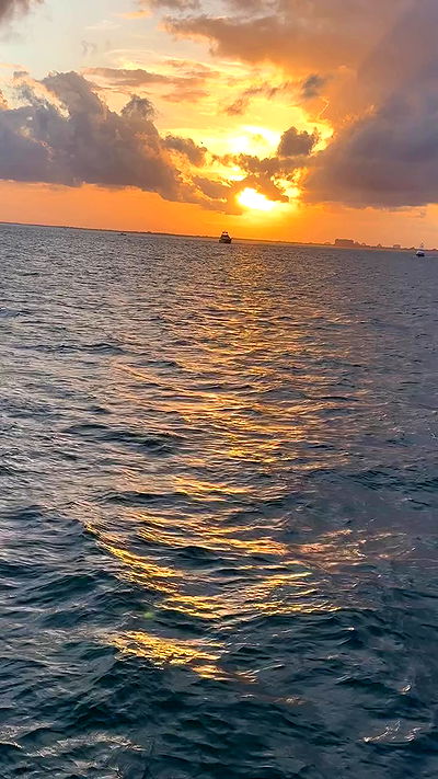 taylor.creeden taylor.creeden archive video